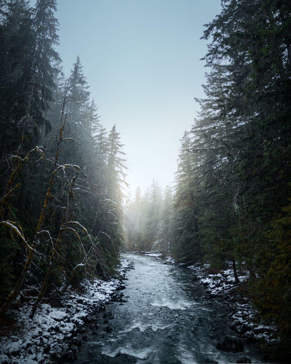 1000x1250 Moody Pacific Northwest River. Pacific northwest travel, Pacific northwest, Washington travel