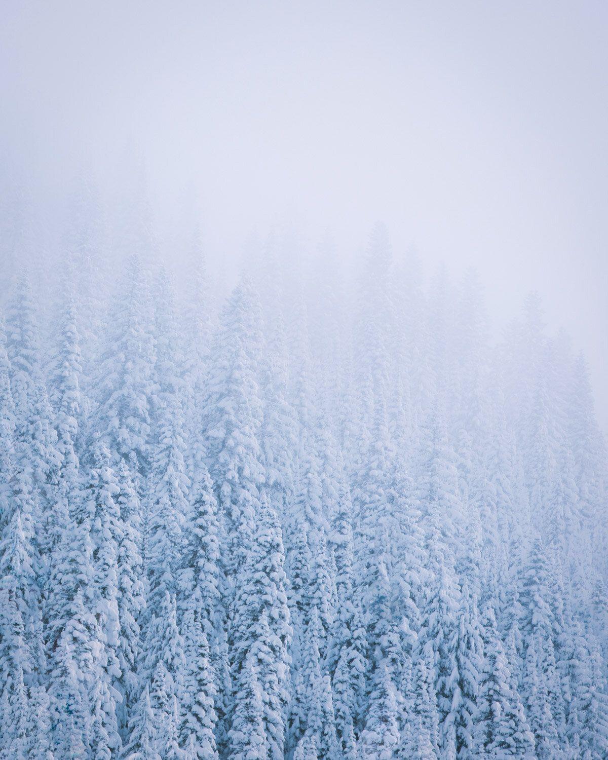 Pacific Northwest Winter Wallpapers - Top Free Pacific Northwest Winter ...