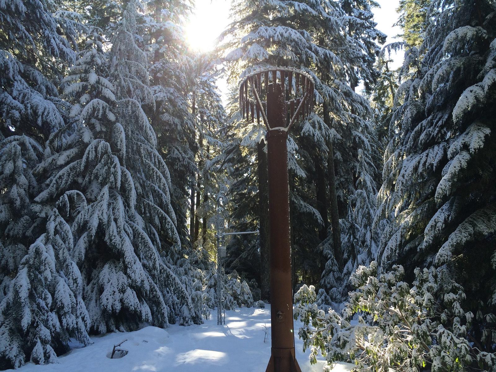 1600x1200 March forecast: partial snowpack recovery in Pacific Northwest