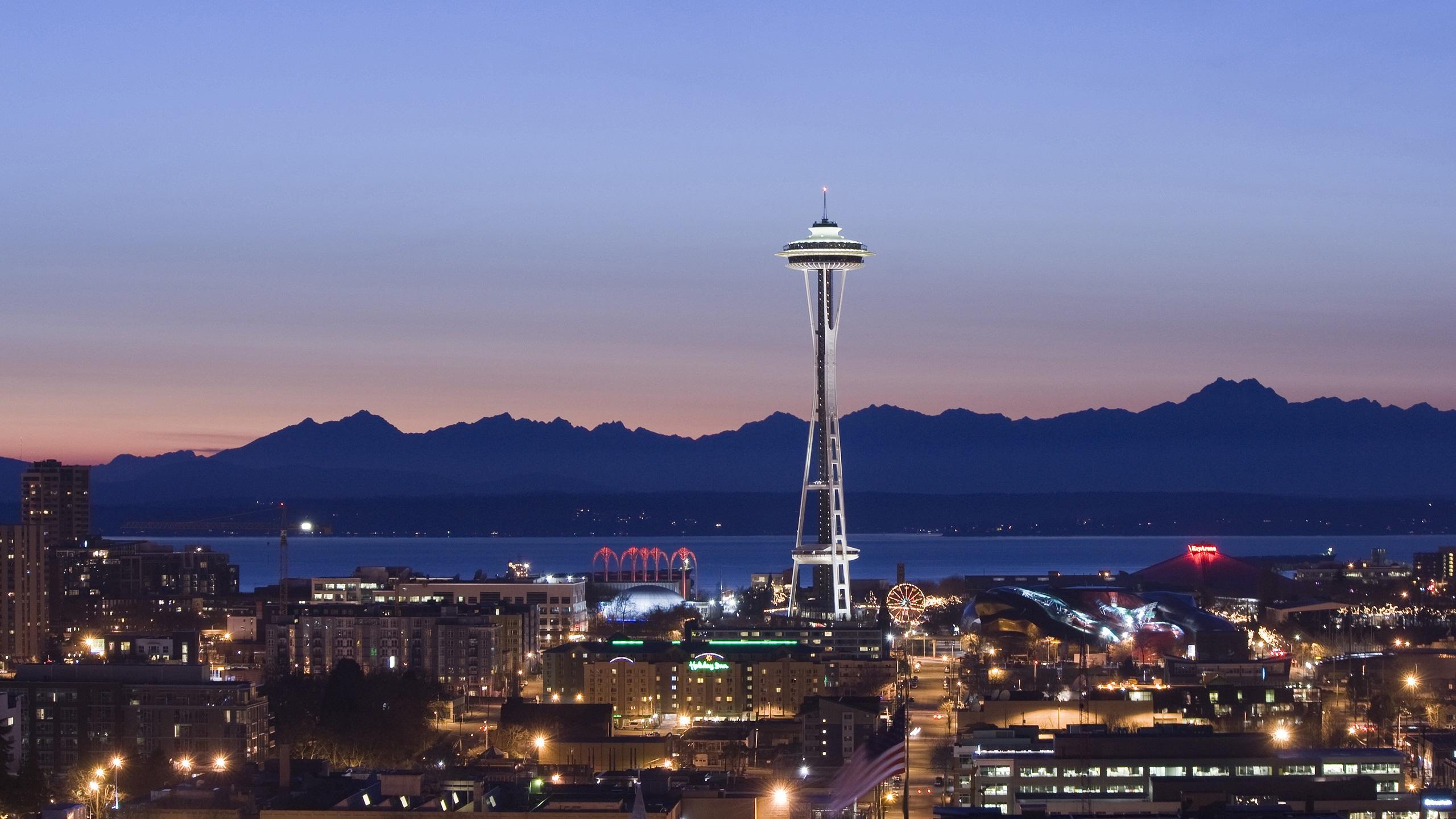 2560x1440 Wallpaper Seattle, night, houses, lights, tower, Space Needle 2560x1600 HD Picture, Image