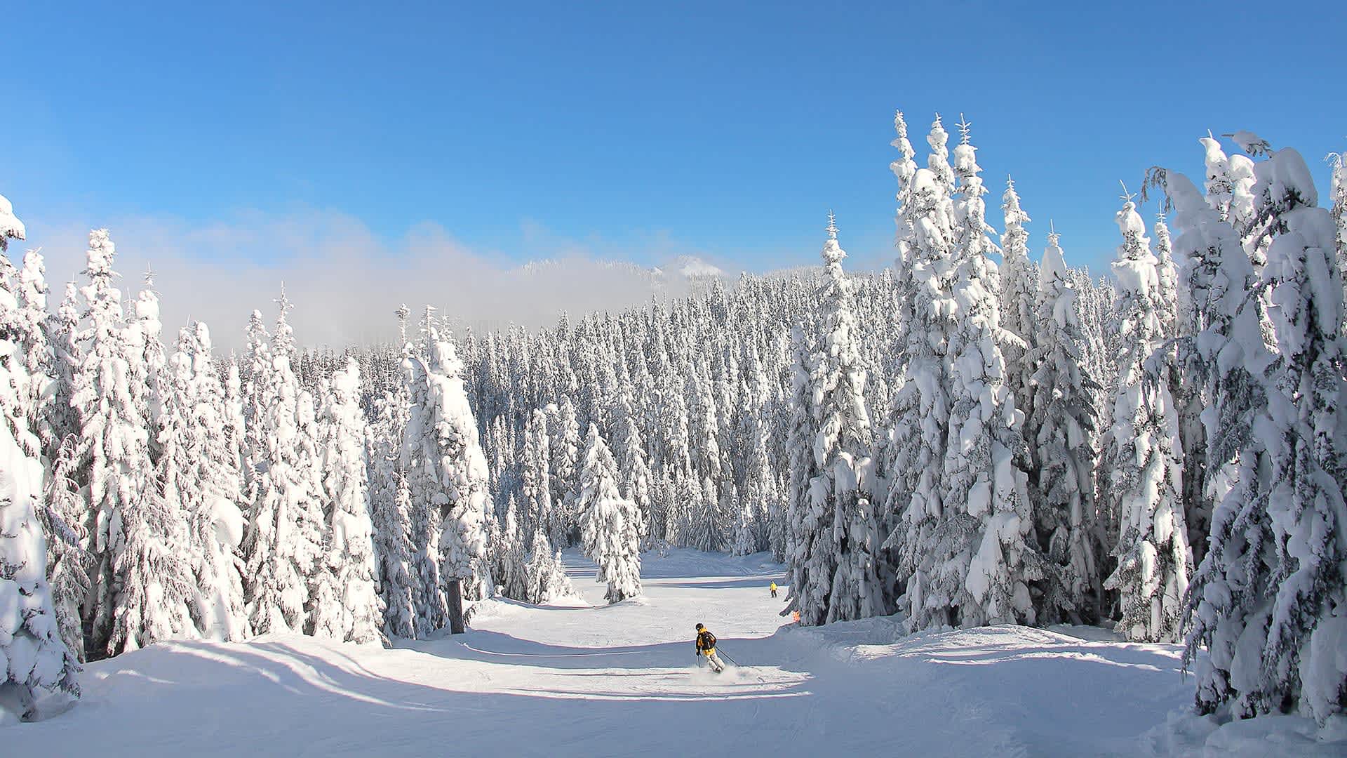 Pacific Northwest Winter Wallpapers Top Free Pacific Northwest Winter