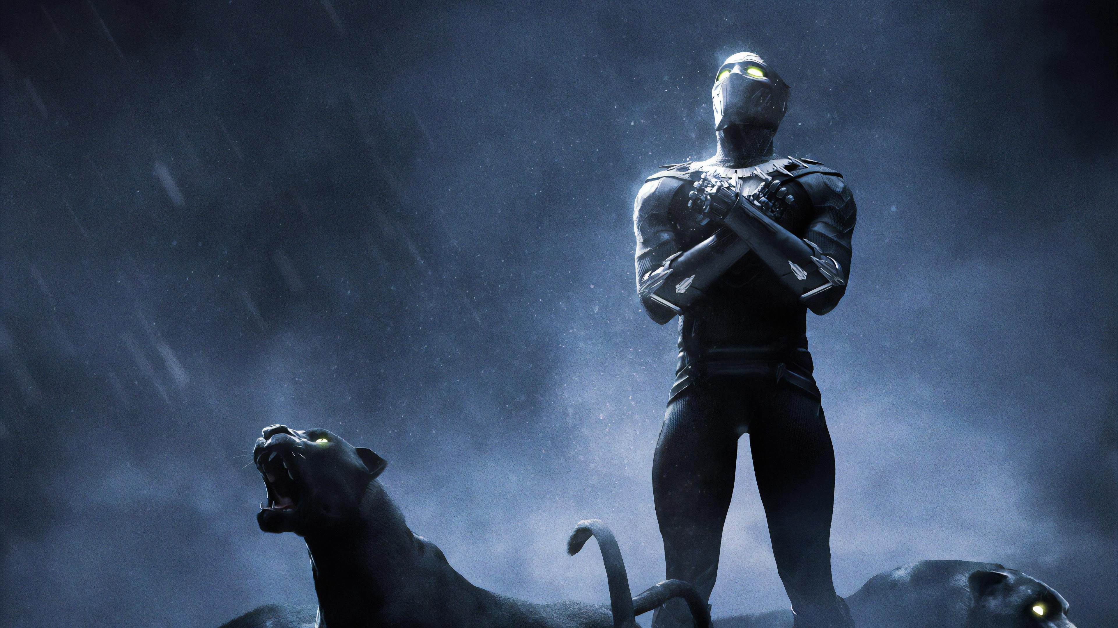 3840x2160 Wallpaper 4k Black Panther 4k Rise Up Wallpaper