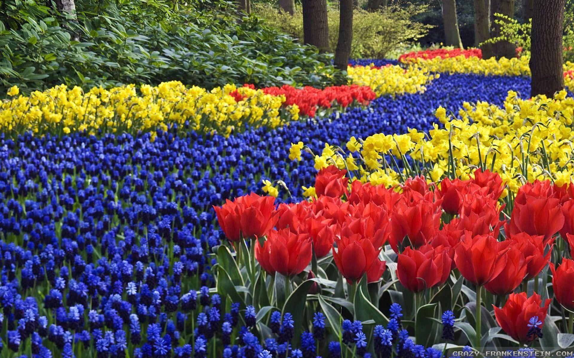 1920x1200 Spring Flowers wallpaper