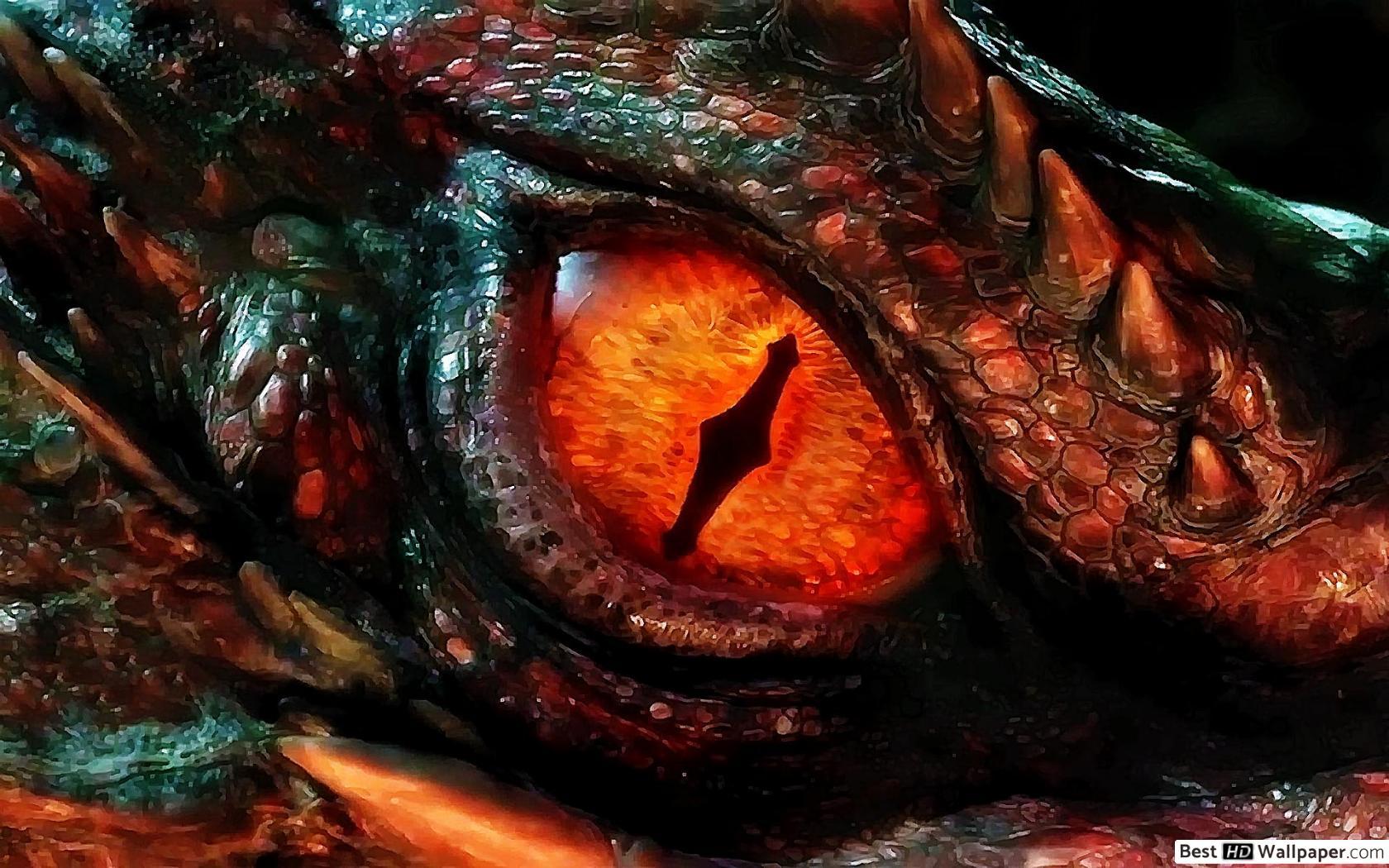 1680x1050 Eye of a Dragon HD wallpaper download
