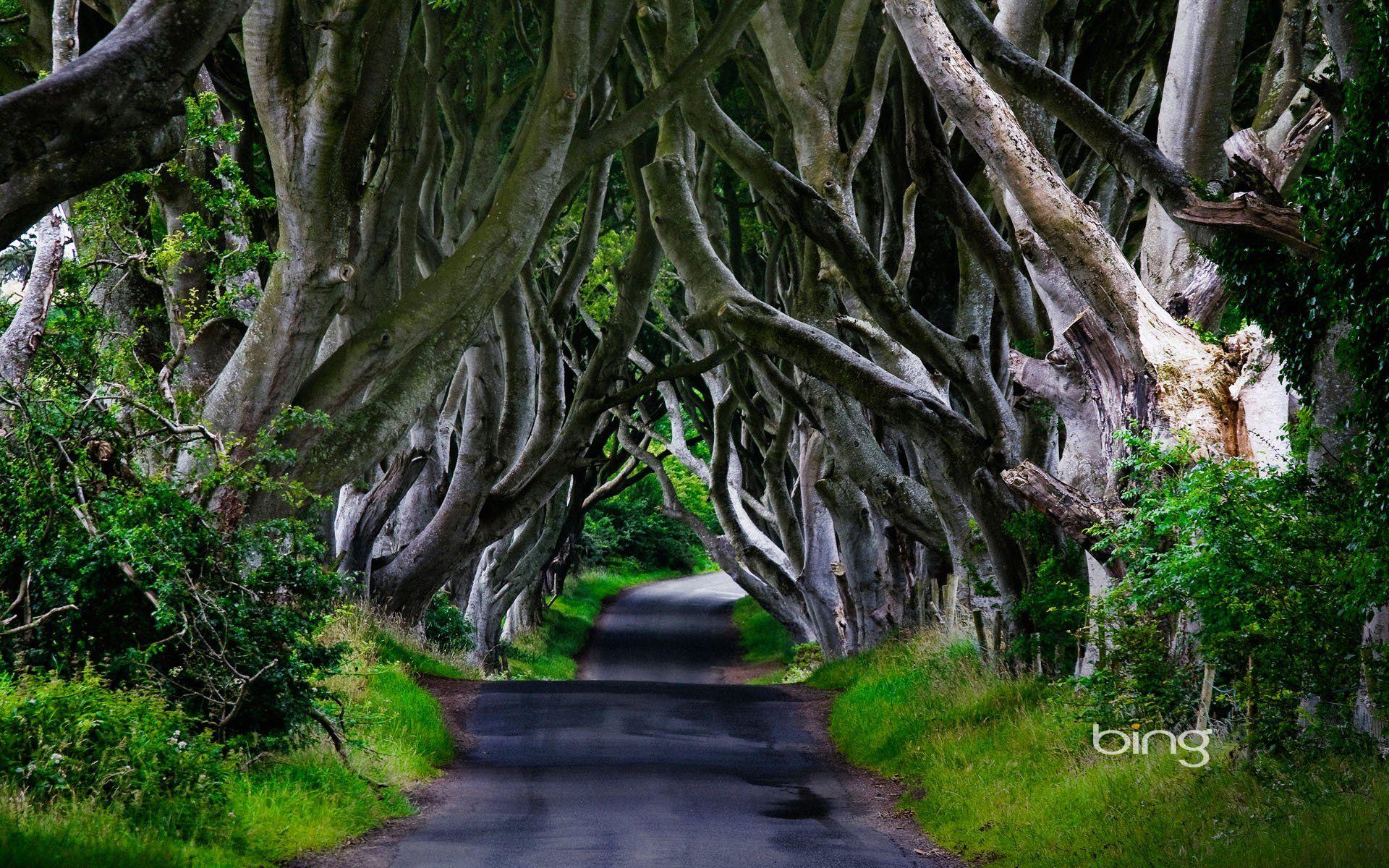1920x1200 Desktop Wallpaper Ireland