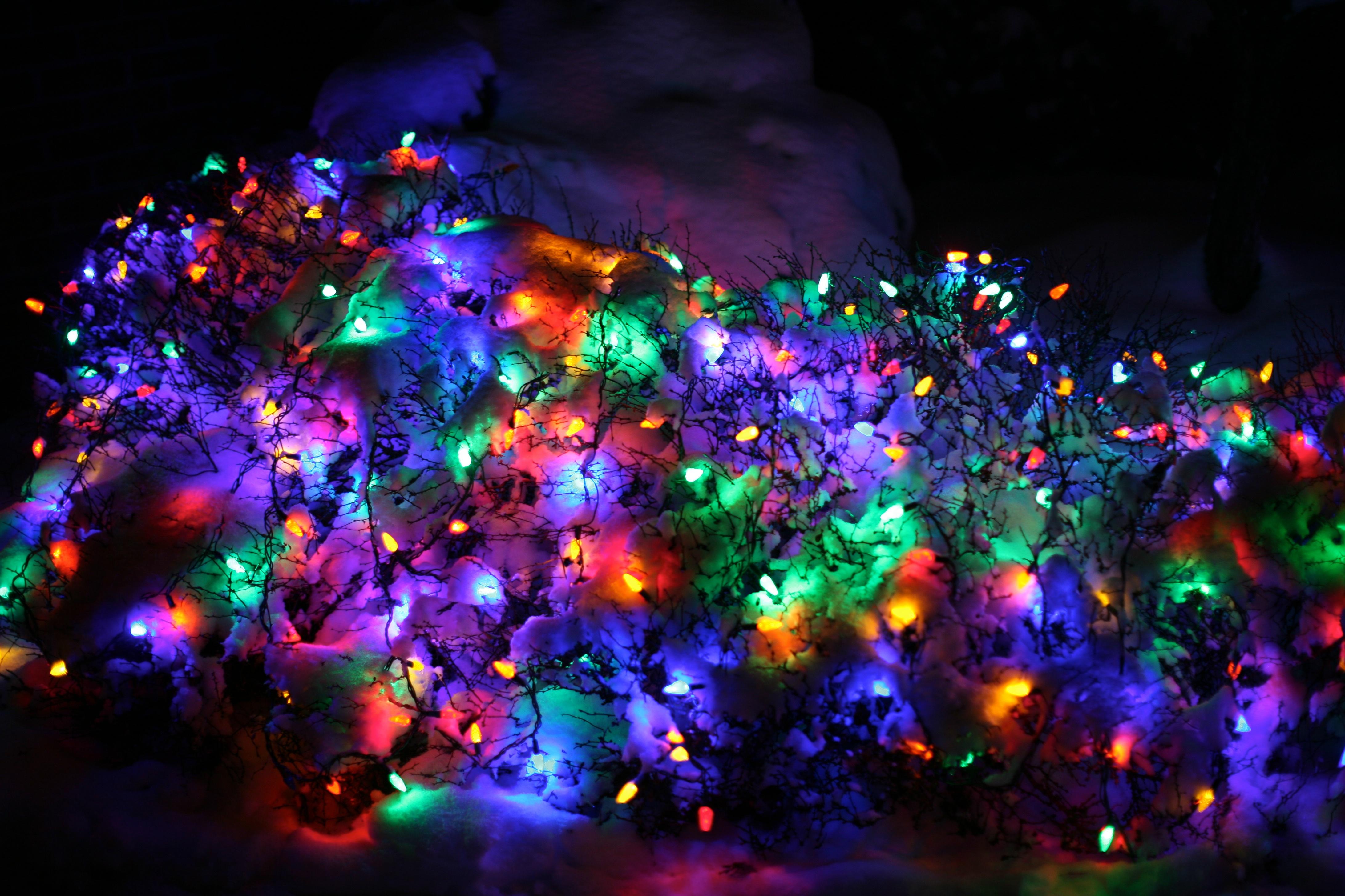4368x2912 Christmas Lights In Snow Lights Wallpaper 4k
