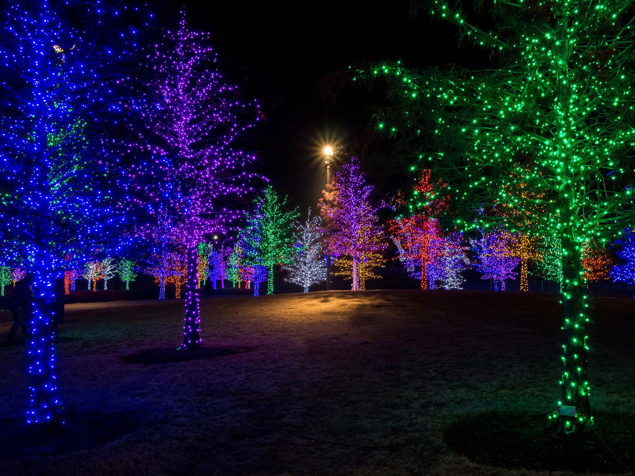 2048x1536 Where To See the Best Christmas Lights in Dallas