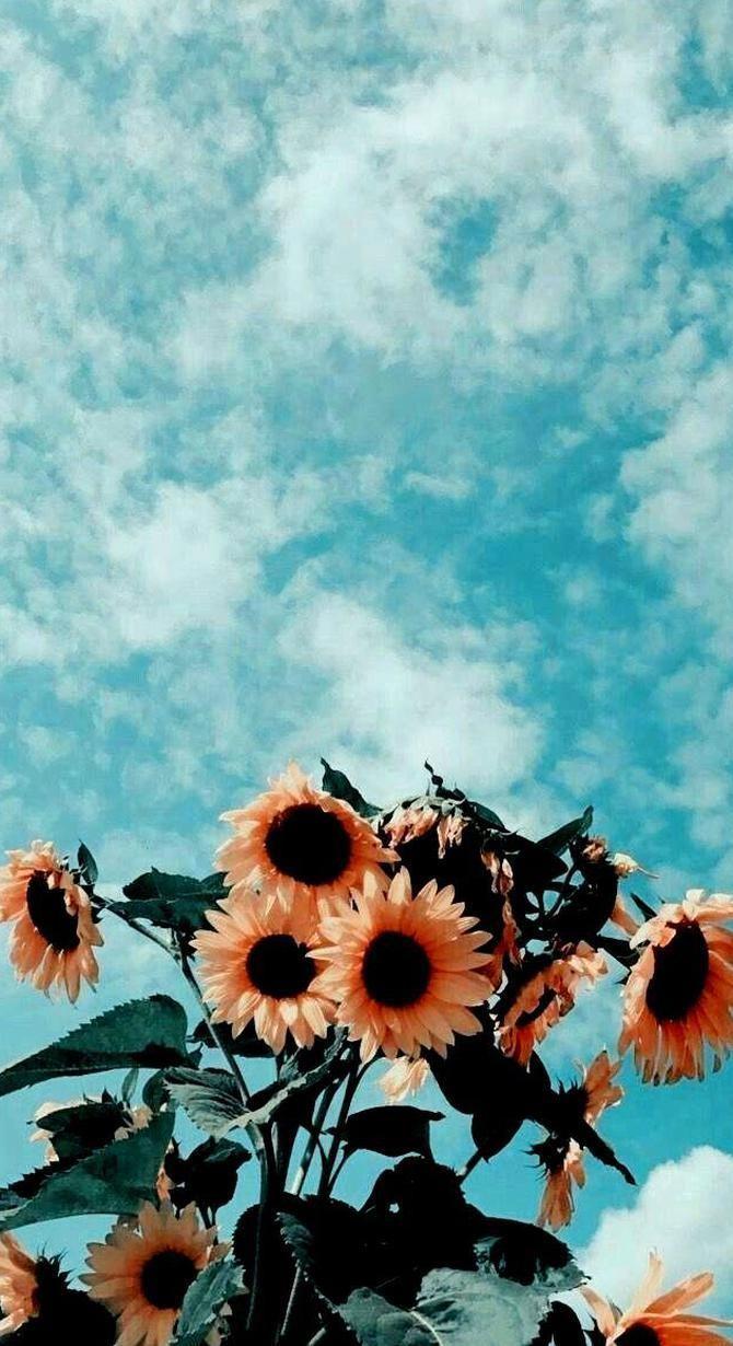 670x1230 ヴィンテージ美的壁紙iphone #aesthetic #wallpaperの#iphoneの#vintage - 塗装美的紙. iPhone wallpaper vintage, Aesthetic wallpaper, Summer wallpaper