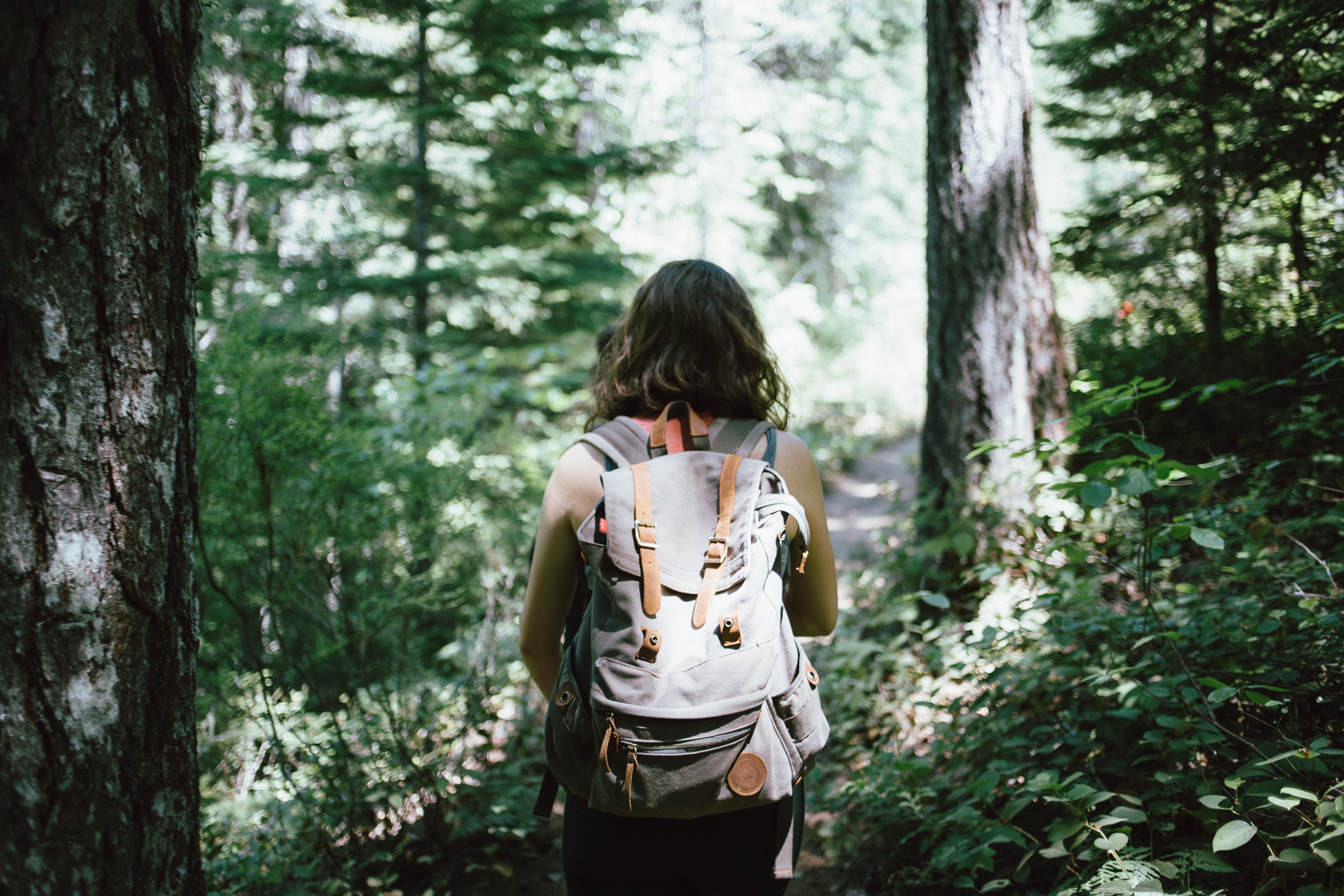 5472x3648 5472x3648 #nature, #girl, #green, #trail, #path, #hiking, #tree, #walk, #wanderlust, #hiker, #hike, #backpack, #wanderer, #backpacking, #travel, #daylight, #woman, #forest, #female, #Free , #leafe. Mocah HD Wallpaper