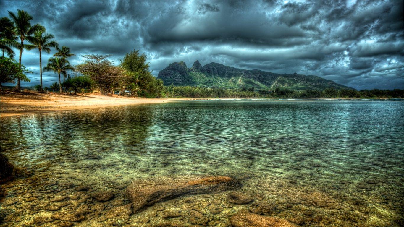 1366x768 Kauai beach hawaii island trees reflection. HD Wallpaper. Beach wallpaper, Nature wallpaper, Beautiful nature wallpaper