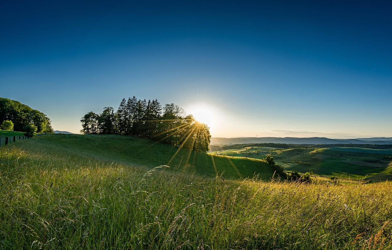 1332x850 Wallpaper field, grass, the sun, rays, Switzerland image for desktop, section природа