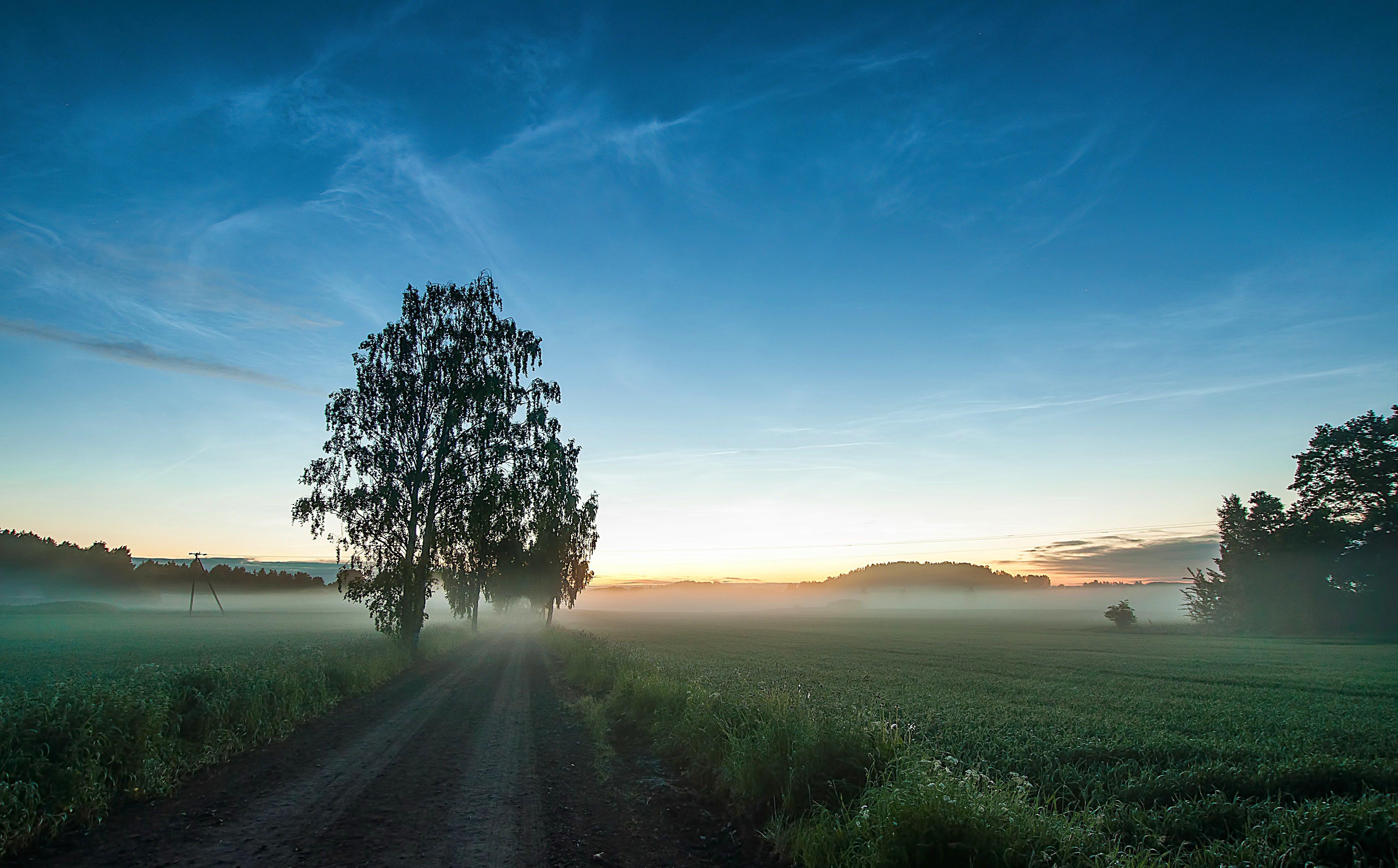 4272x2652 Road field grass fog trees sky night sunset nature landscape wallpaperx2652