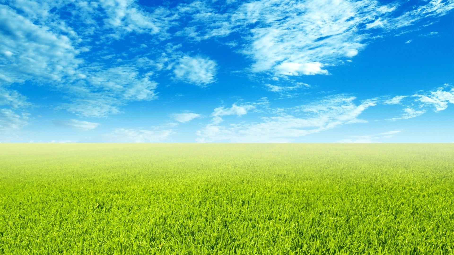 1920x1080 Sky and Grass Wallpaper