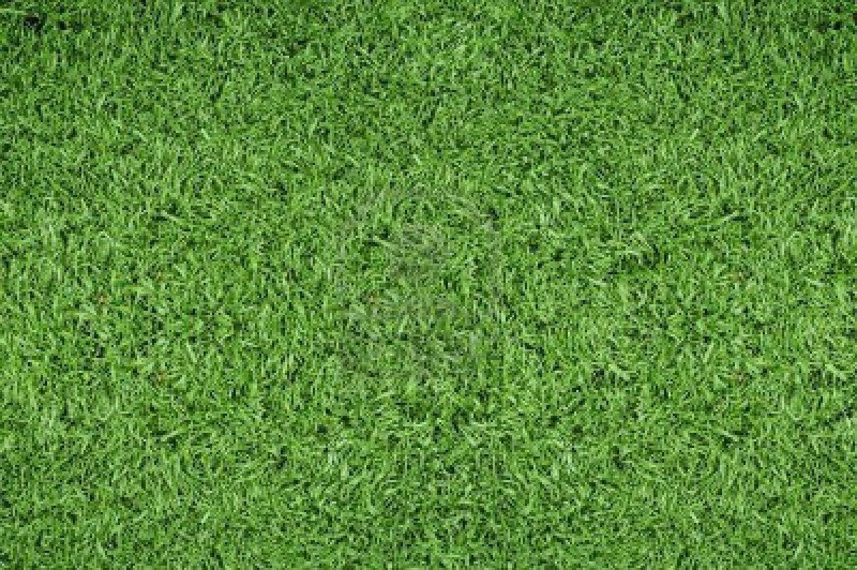 1200x798 Grass Soccer Field Wallpaper, HD Grass Soccer Field Background on WallpaperBat