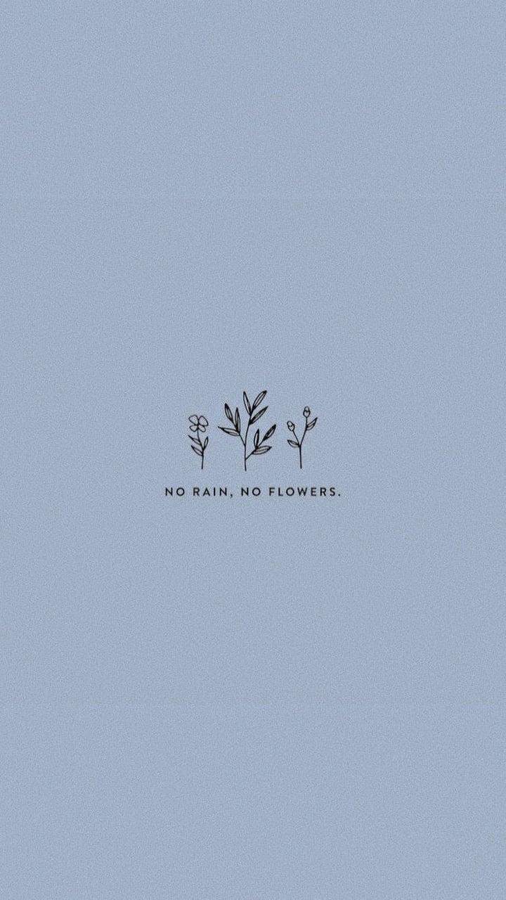 Grey Aesthetic Quotes Wallpapers - Top Free Grey Aesthetic Quotes ...