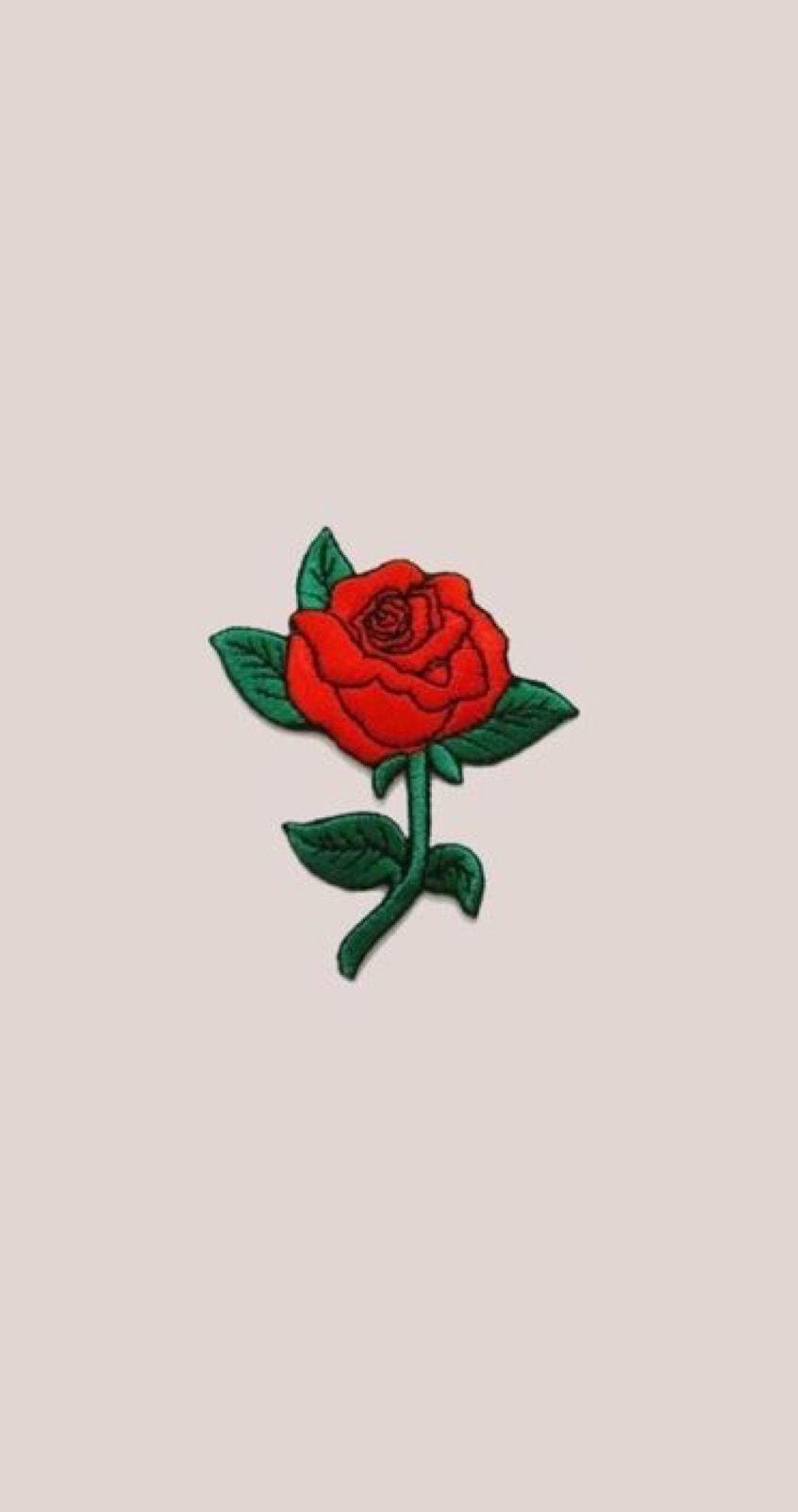 846x1602 Red Roses Supreme Wallpaper