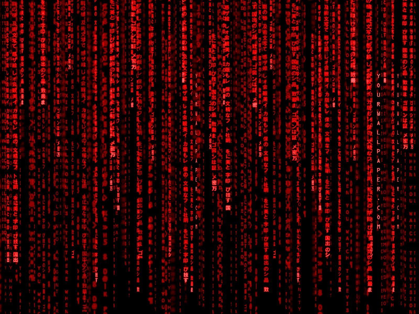 Red Binary Code Wallpapers Top Free Red Binary Code Backgrounds Wallpaperaccess