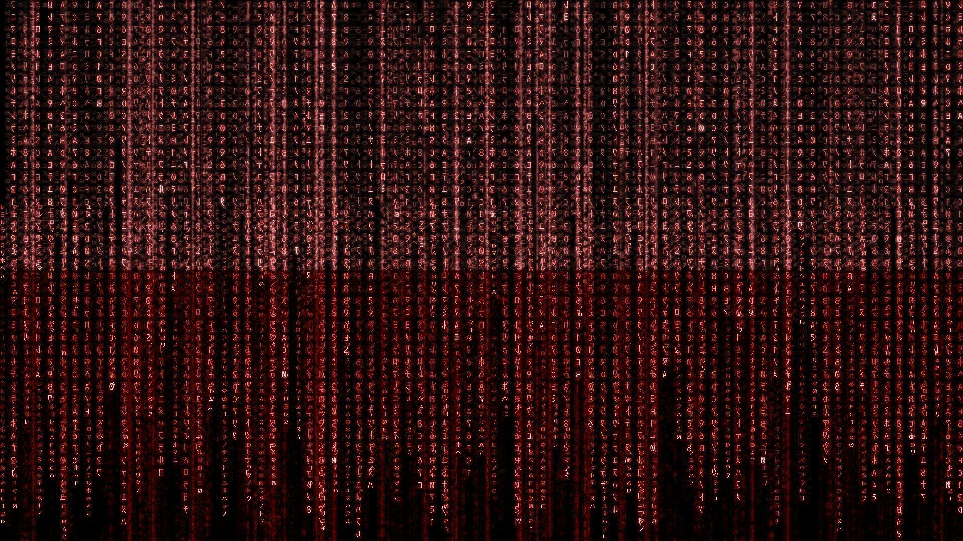 Red Matrix Wallpapers Top Free Red Matrix Backgrounds Wallpaperaccess