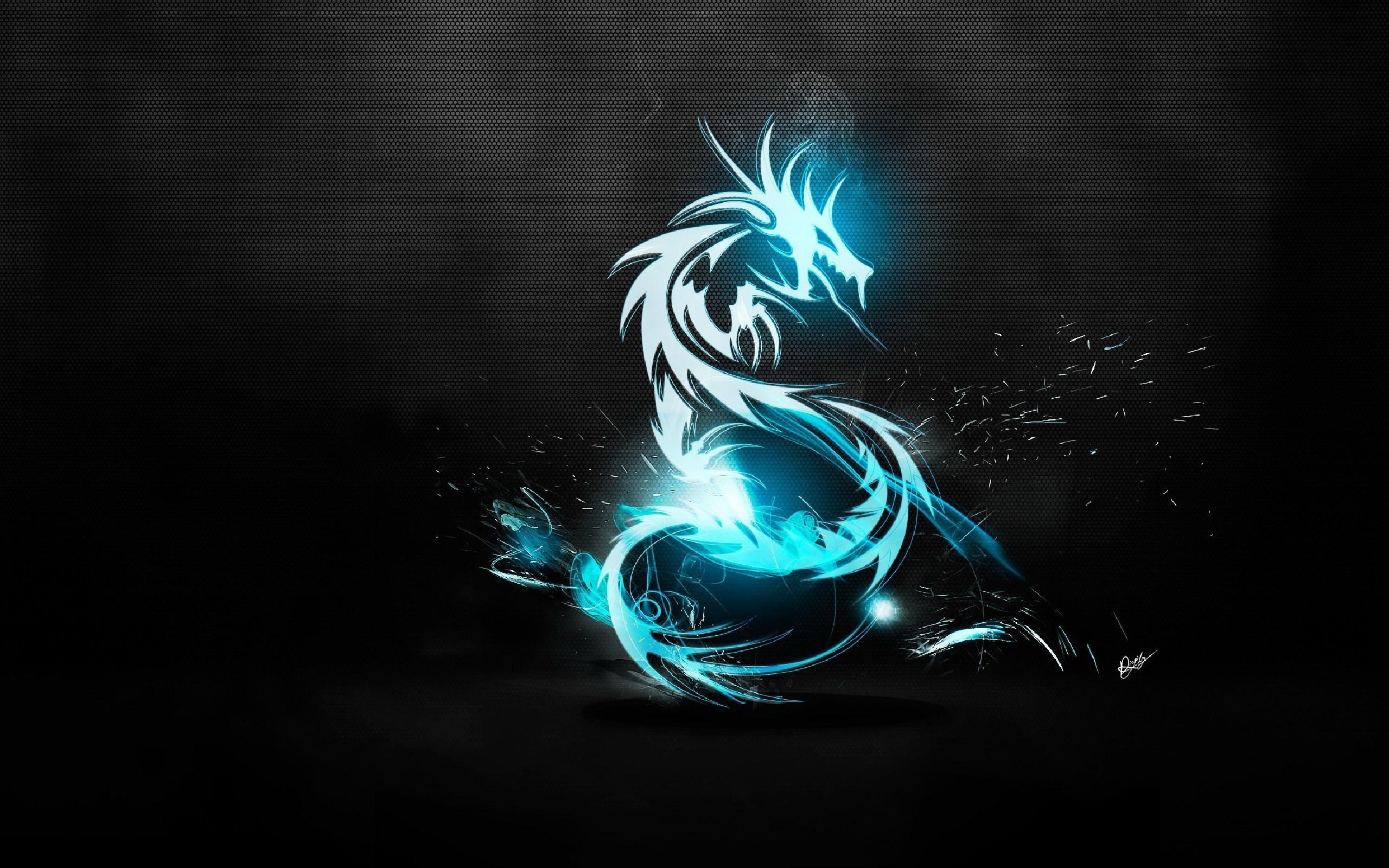 2560x1600 minimalistic dragons tribal 2560x1600 wallpaper