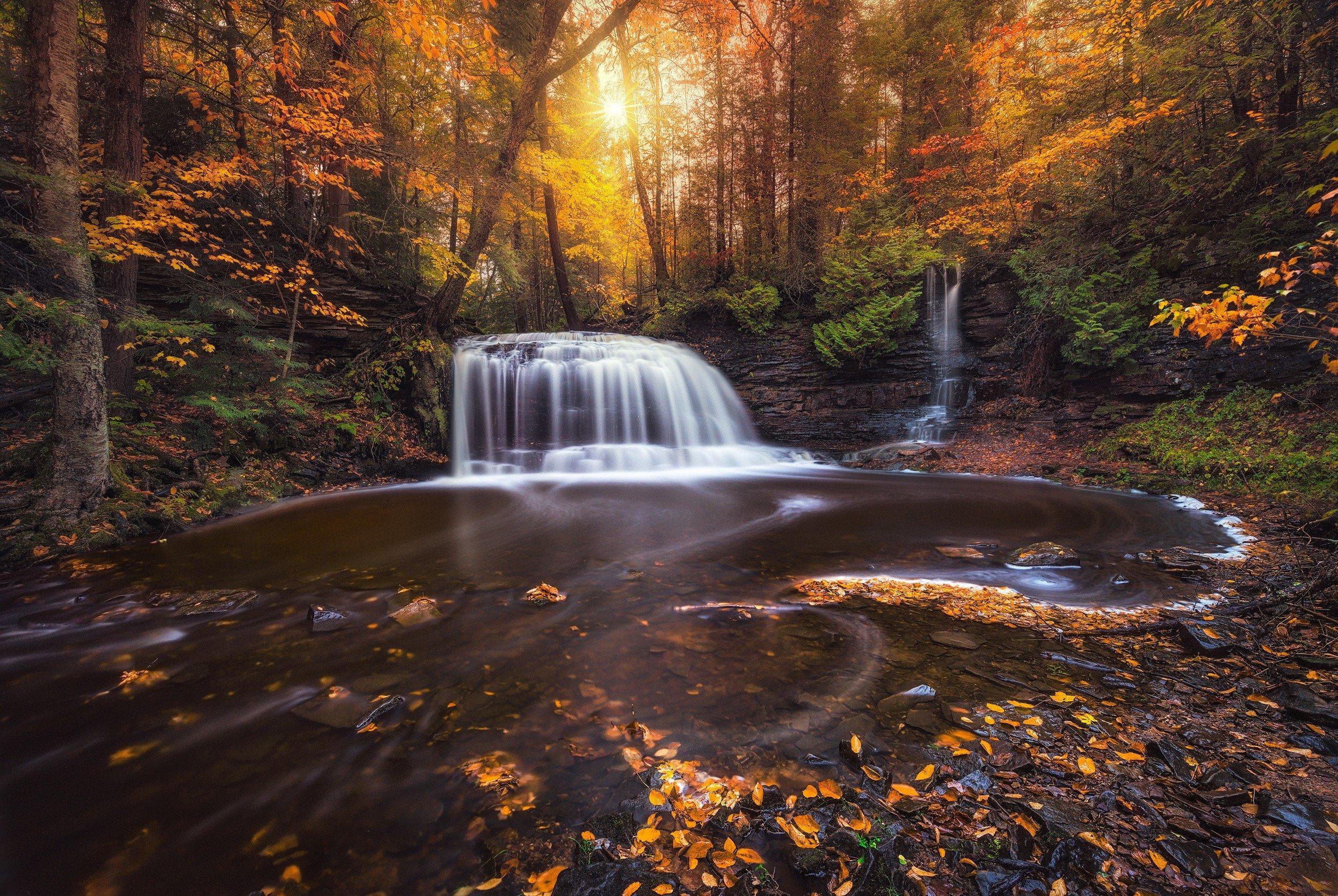 Michigan Forest Wallpapers - Top Free Michigan Forest Backgrounds ...