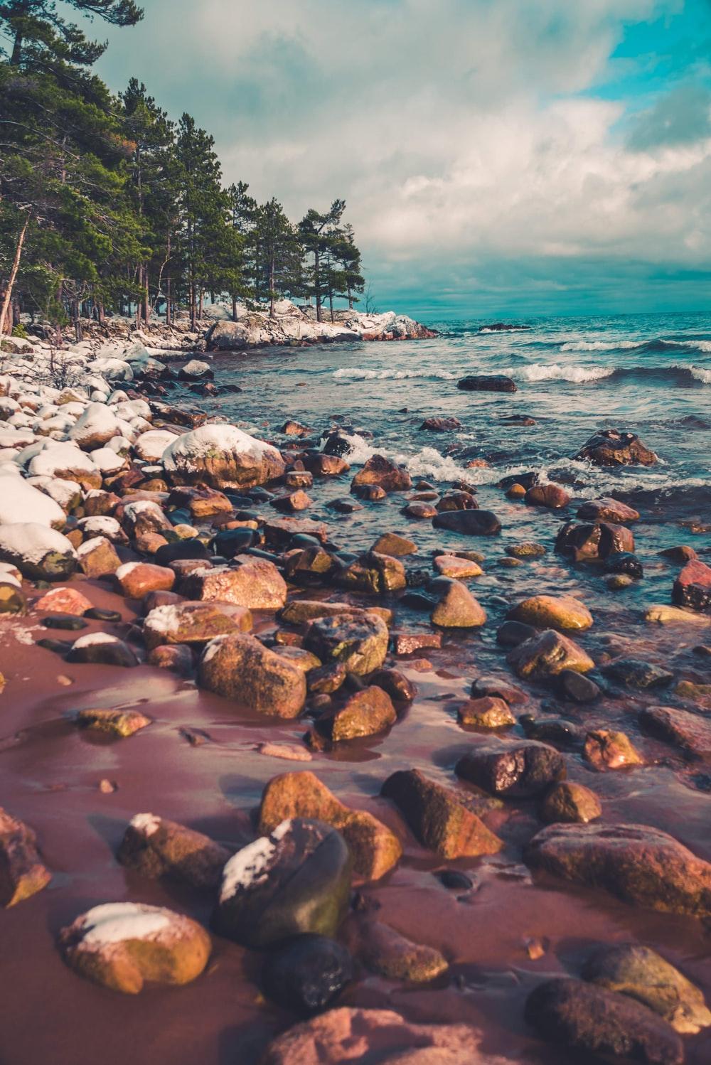 1000x1498 Michigan Nature Picture. Download Free Image