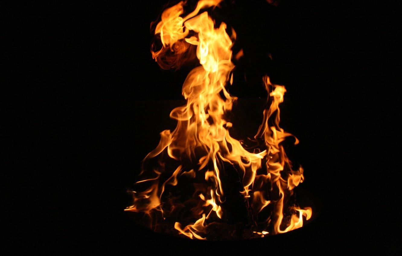 1332x850 Wallpaper macro, night, nature, background, fire, flame, Wallpaper, the fire, flames image for desktop, section макро