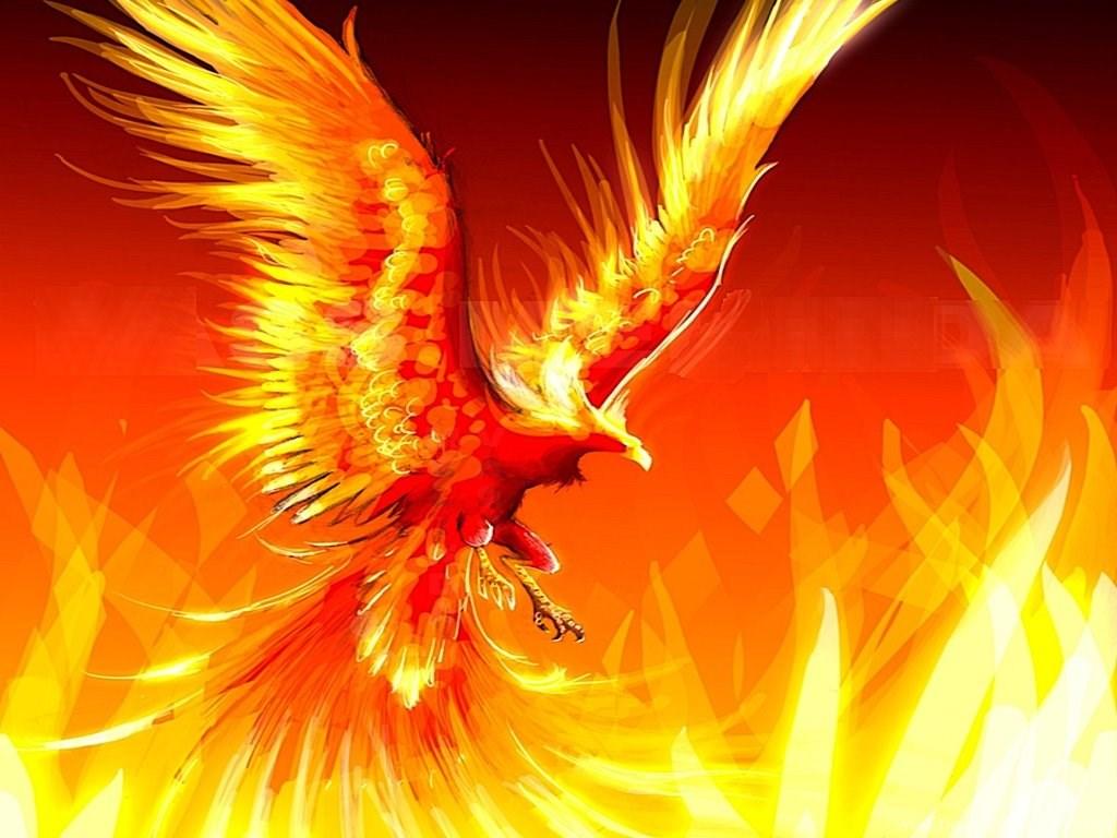 1024x768 Fire Flames Wallpaper 500 Collection HD Wallpaper Desktop Background