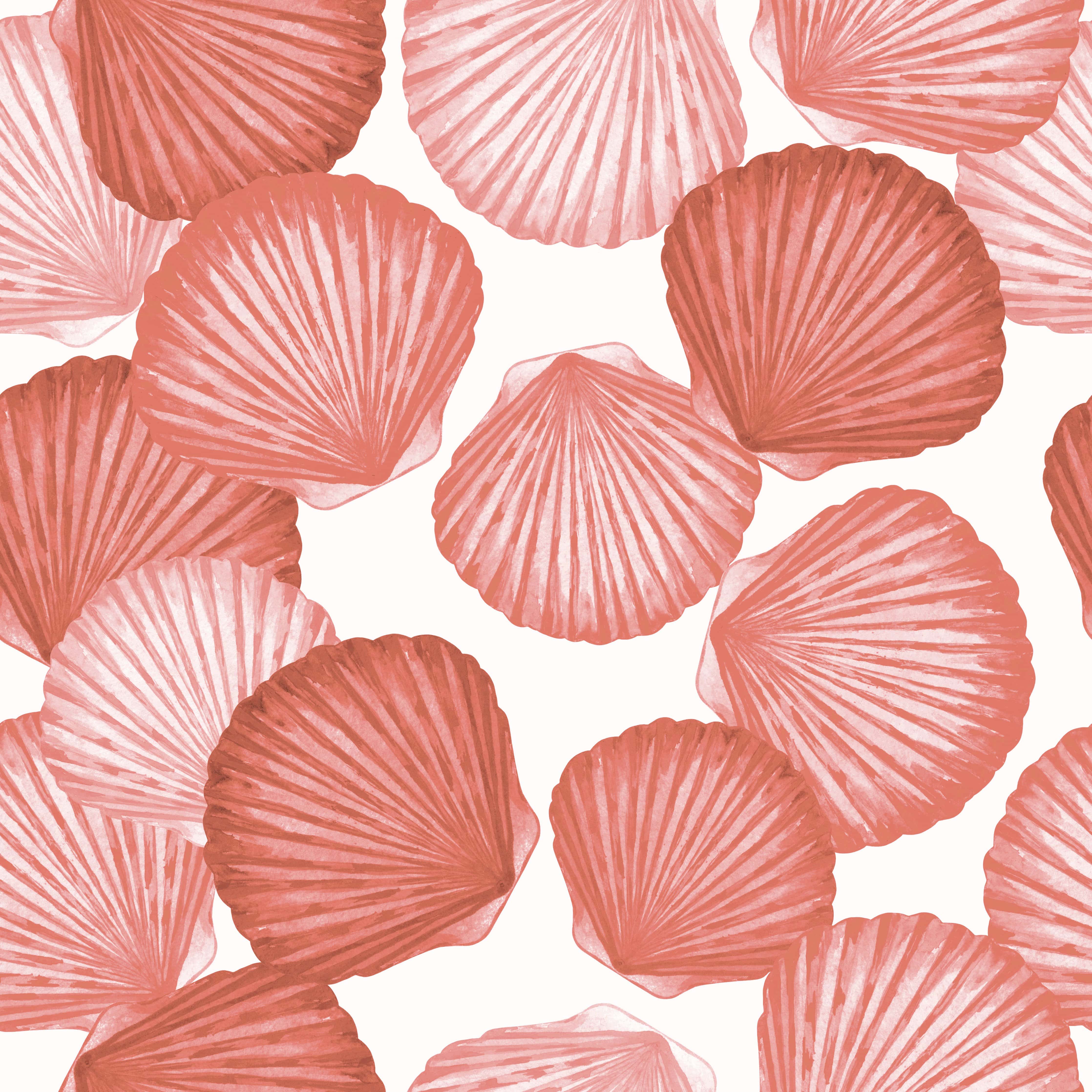 Pink Seashell Wallpapers - Top Free Pink Seashell Backgrounds