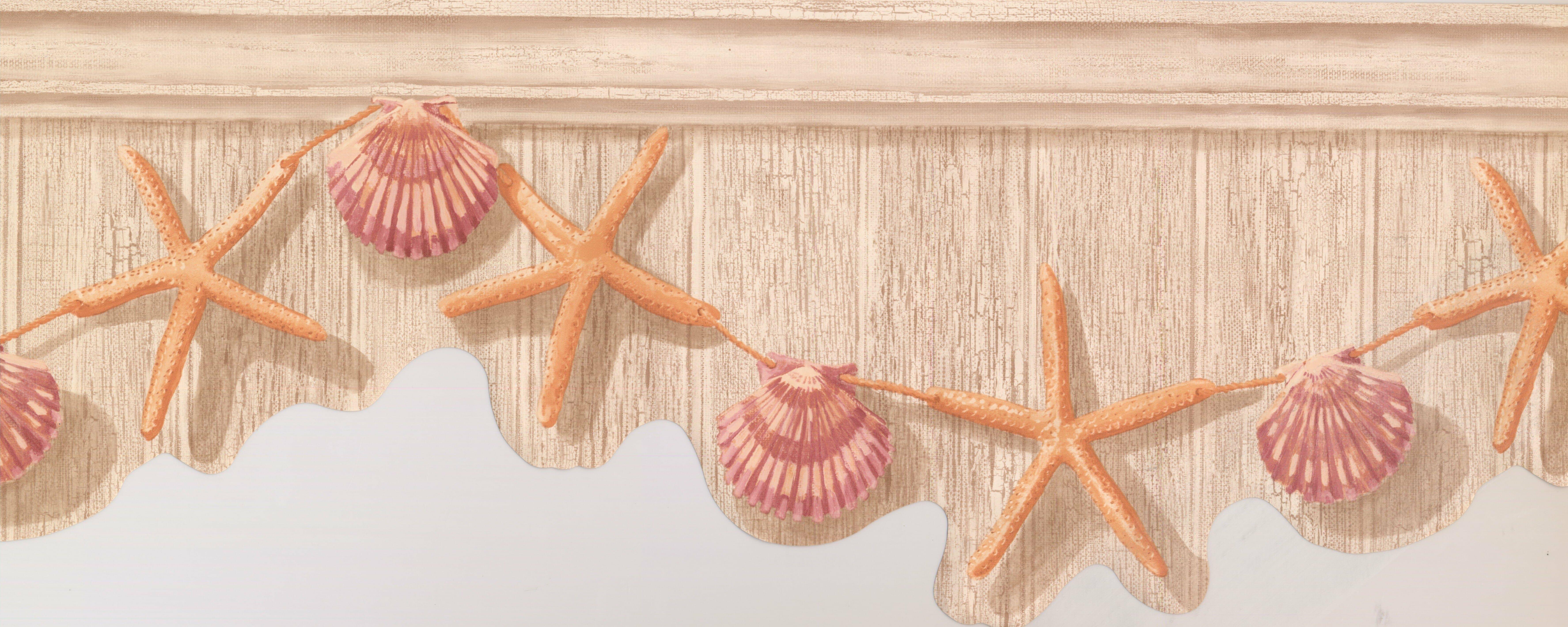 7099x2839 seashell wallpaper, starfish, echinoderm, pink, marine invertebrates, shell, invertebrate