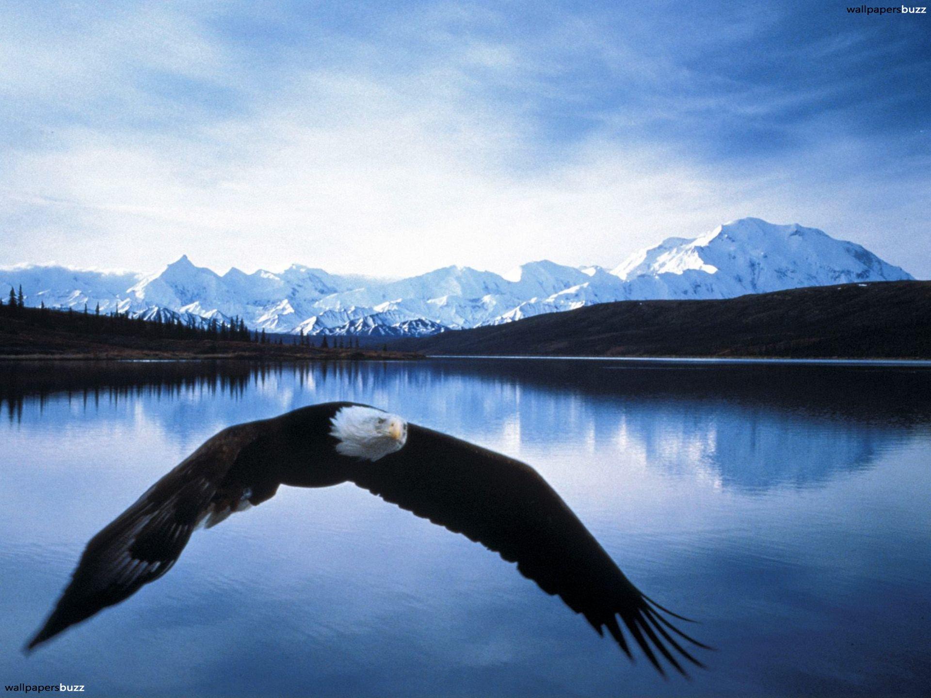 1920x1440 Wallpaper Alaska