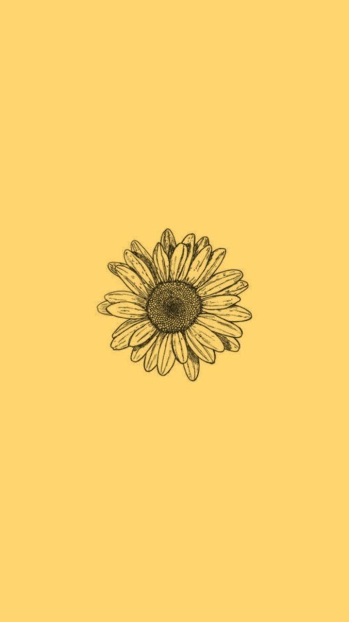 720x1280 Yellow Sunflowers Wallpaper