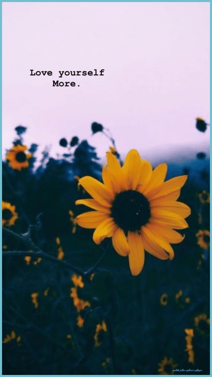 727x1293 Sunflower Aesthetic Wallpaper Yellow Sunflower Wallpaper