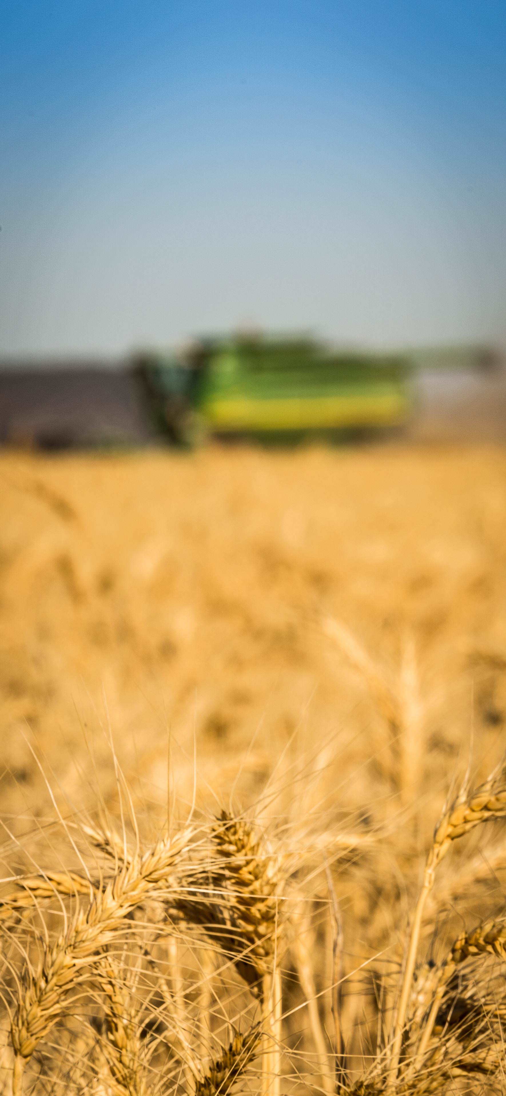 1770x3833 Wallpaper for my Farming friends