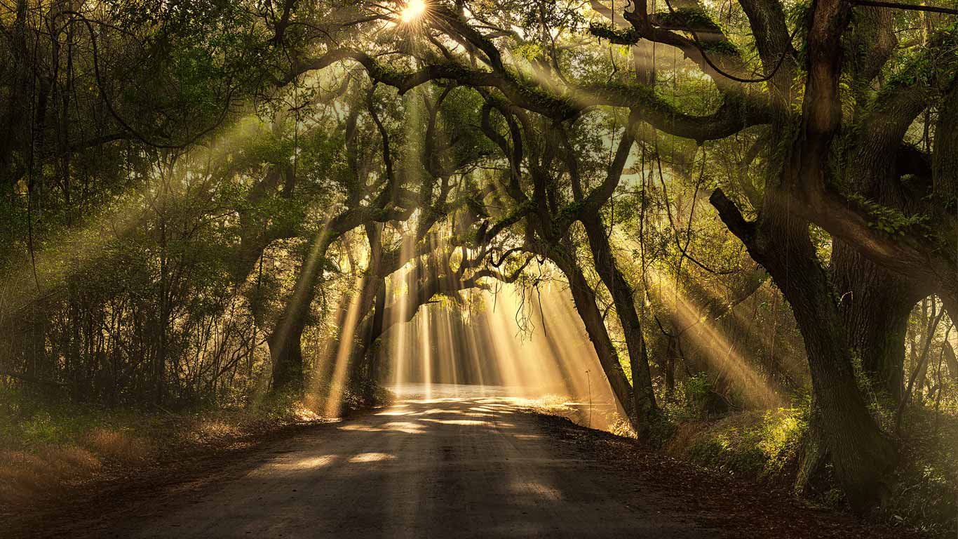 1366x768 Bing Wallpaper Archive