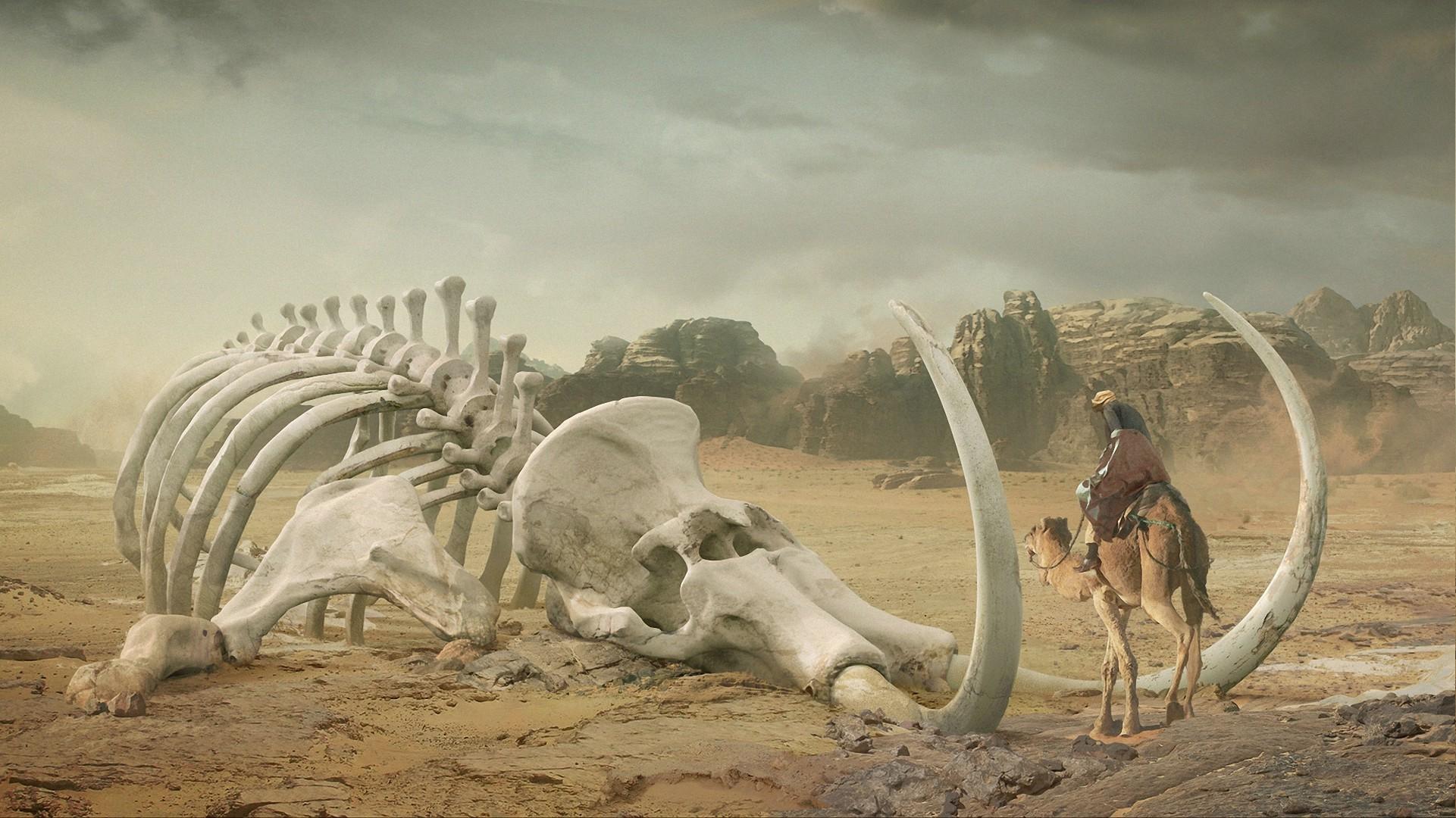 1921x1080 digital Art, Desert, Skeleton, Mammoths, Camels, Men, Bones, Rock, Animals Wallpaper HD / Desktop and Mobile Background