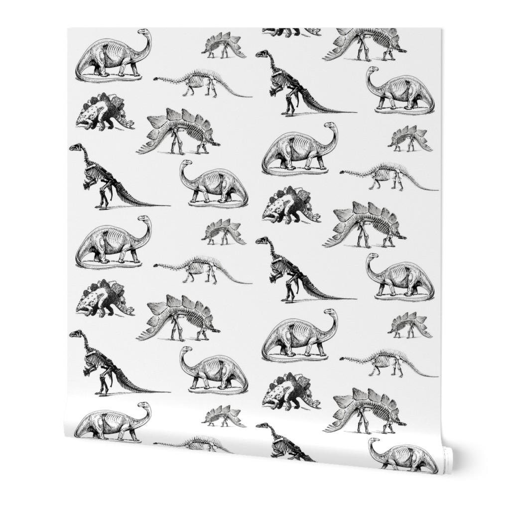 1024x1024 Wallpaper Roll Dino Dinosaur Skeleton Animal Bones Black And White 24in x