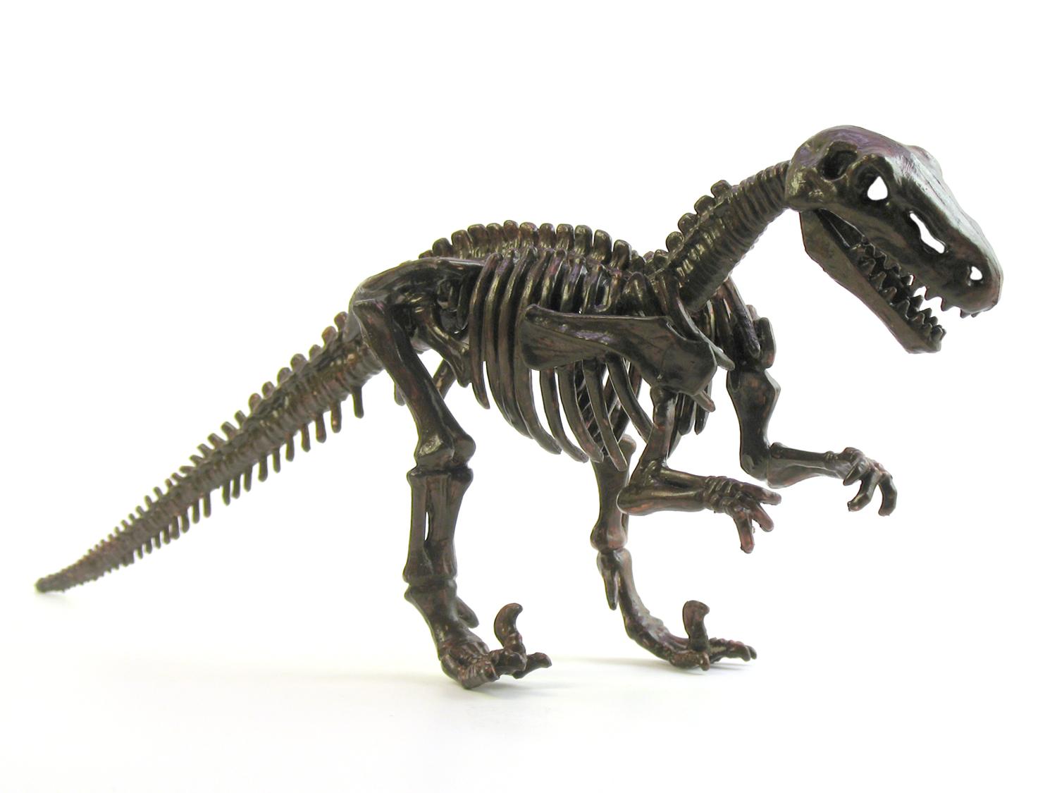 1500x1125 Free download dinosaur skeleton high resolution HD Wallpaper of Wild Animal [1500x1125] for your Desktop, Mobile & Tablet. Explore Dinosaur Skeleton Wallpaper. Dinosaur Skeleton Wallpaper, Skeleton Wallpaper, Skeleton Wallpaper