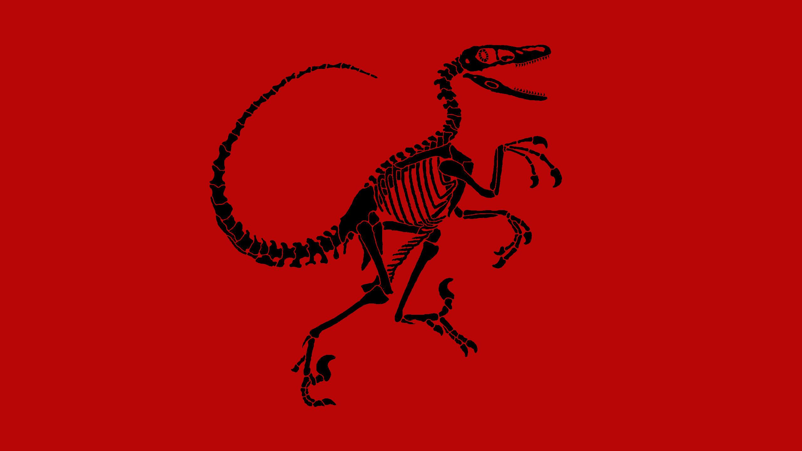 2560x1440 T Rex Skeleton Wallpaper 21 Book Source For Free Download HD, 4K & High Quality Wallpaper