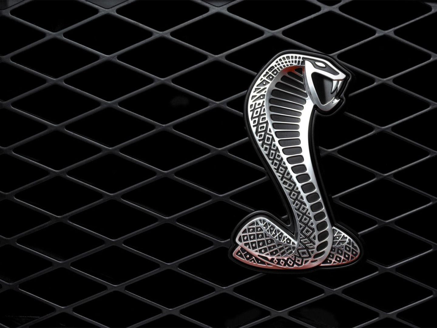 1440x1080 King Snake HD Picture, Fantastic Snake Wallpaper 1920