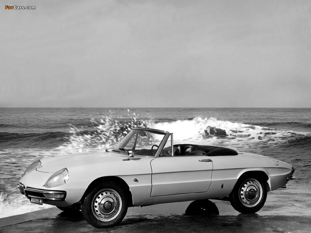 1024x768 Alfa Romeo Spider 1600 Duetto 105 (1966–1967) photo (1024x768)