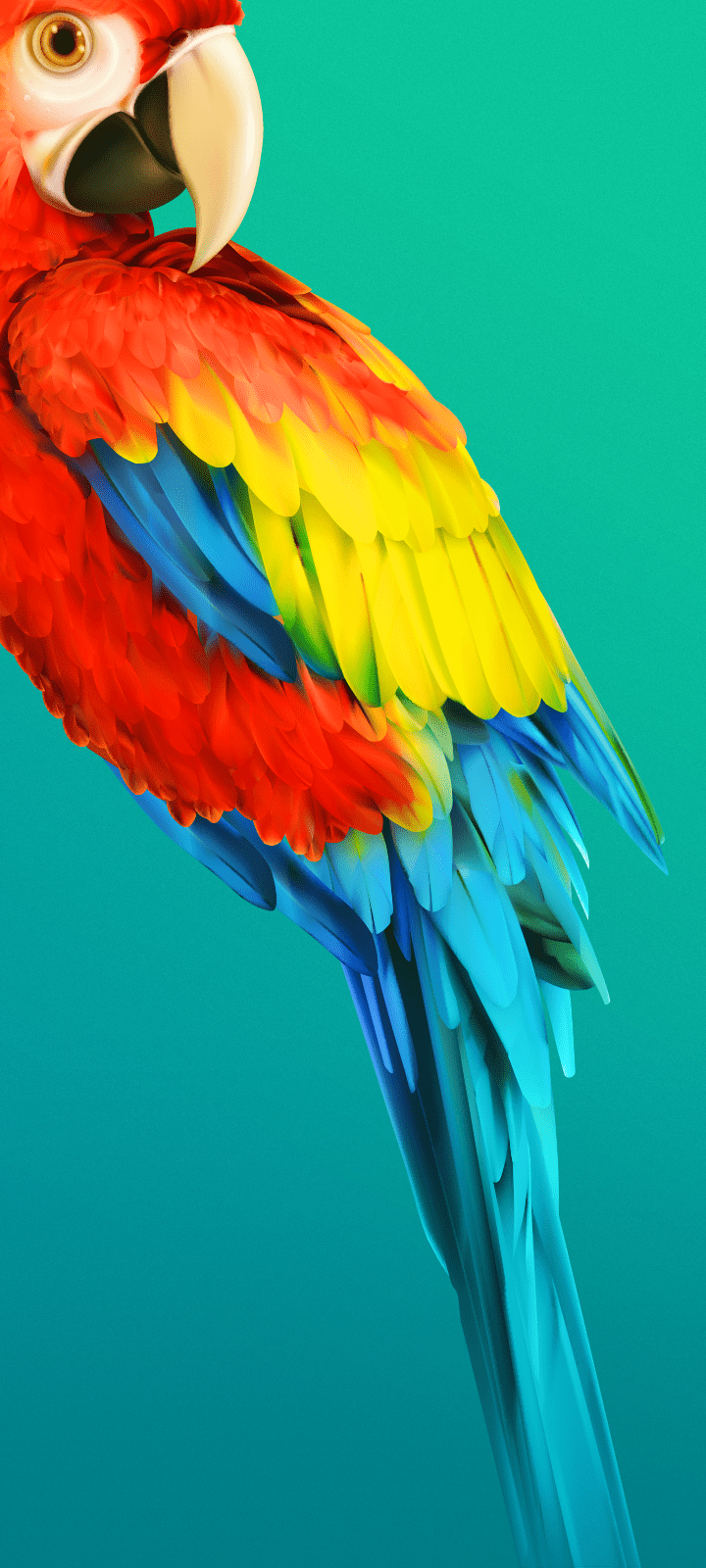 720x1600 Tecno Camon 12 Air Wallpaper (YTECHB Exclusive). Parrot wallpaper, Homescreen wallpaper, Stock wallpaper