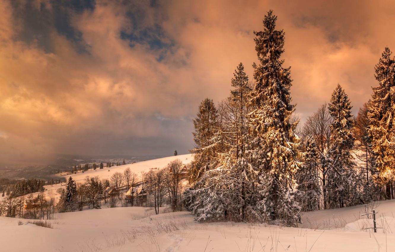 1332x850 Wallpaper winter, snow, Poland, Zakopane image for desktop, section природа