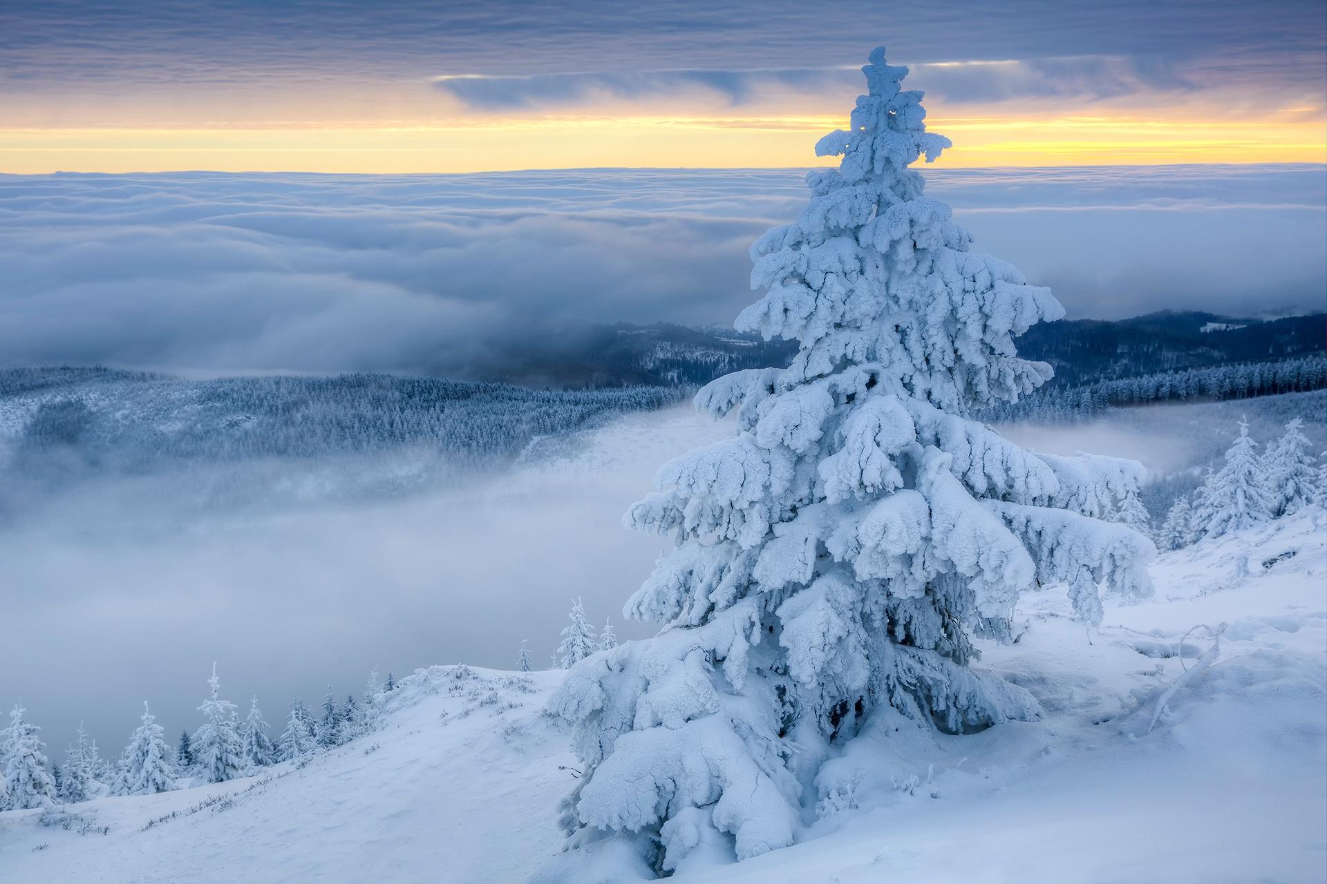 1920x1280 Poland, Winter, Snow, Landscape, Trees, Nature Wallpaper HD / Desktop and Mobile Background