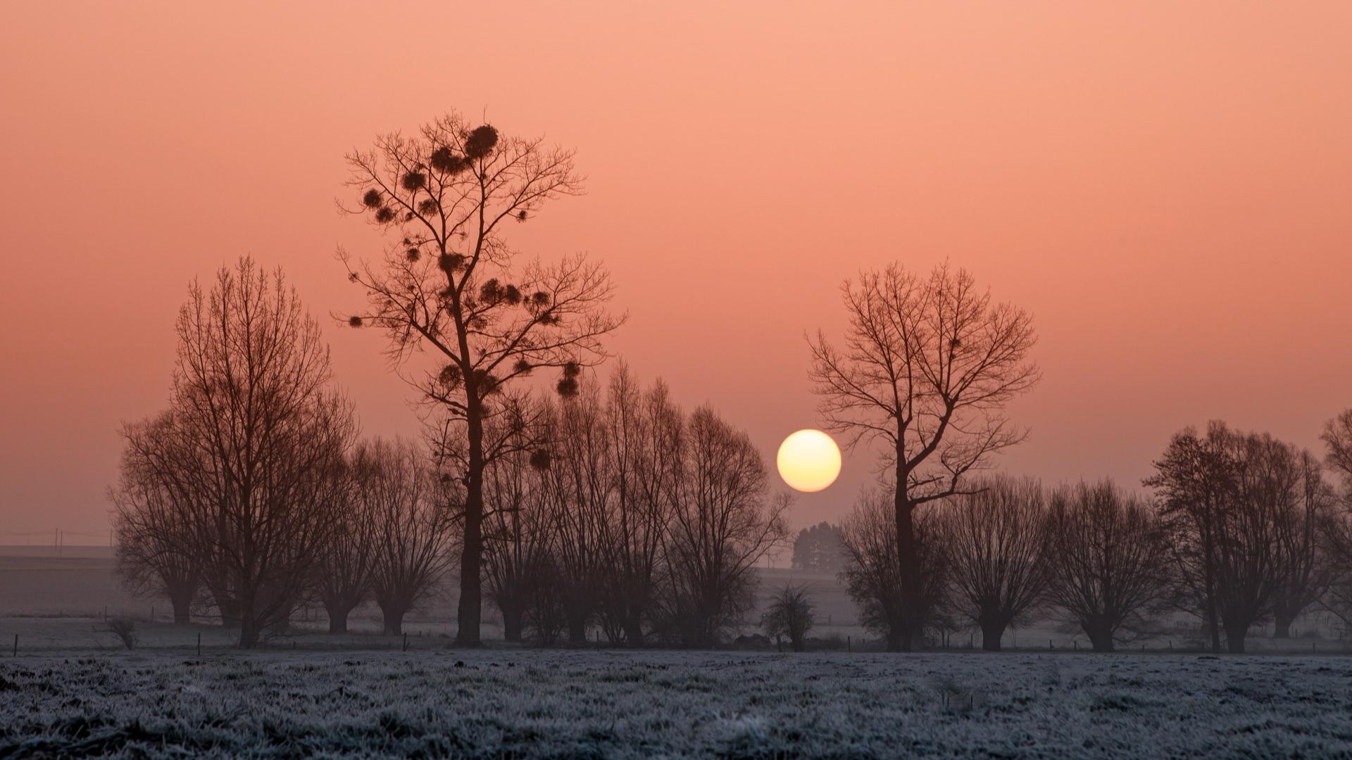 1920x1080 Full HD Wallpaper poland field winter sunset, Desktop Background HD 1080p