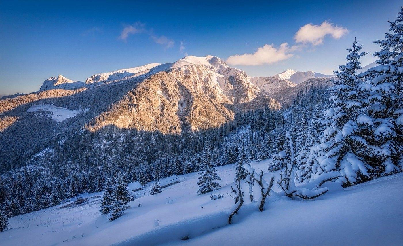 1400x854 best Wallpaper ✥ image. Forest mountain, Winter forest, Snow forest