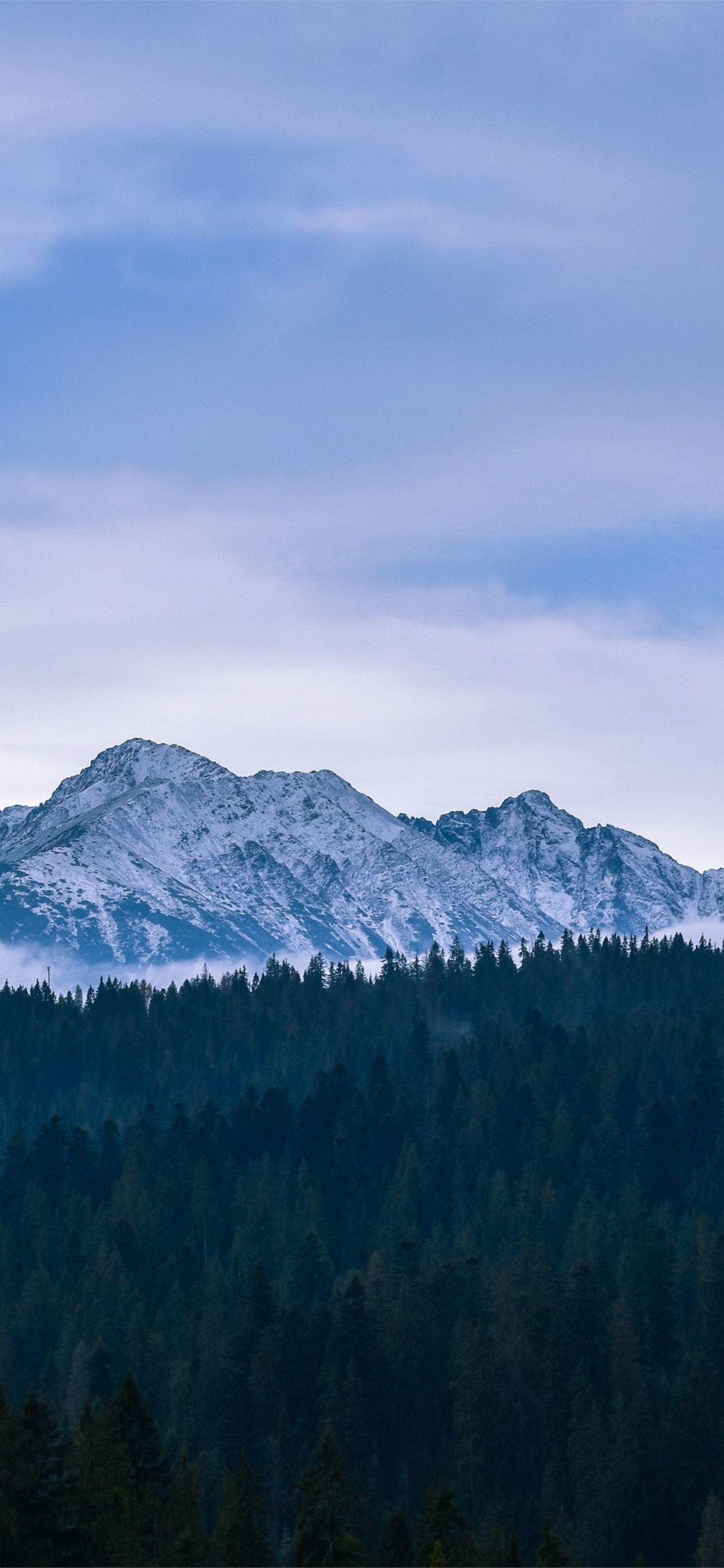1284x2778 poland iPhone Wallpaper Free Download