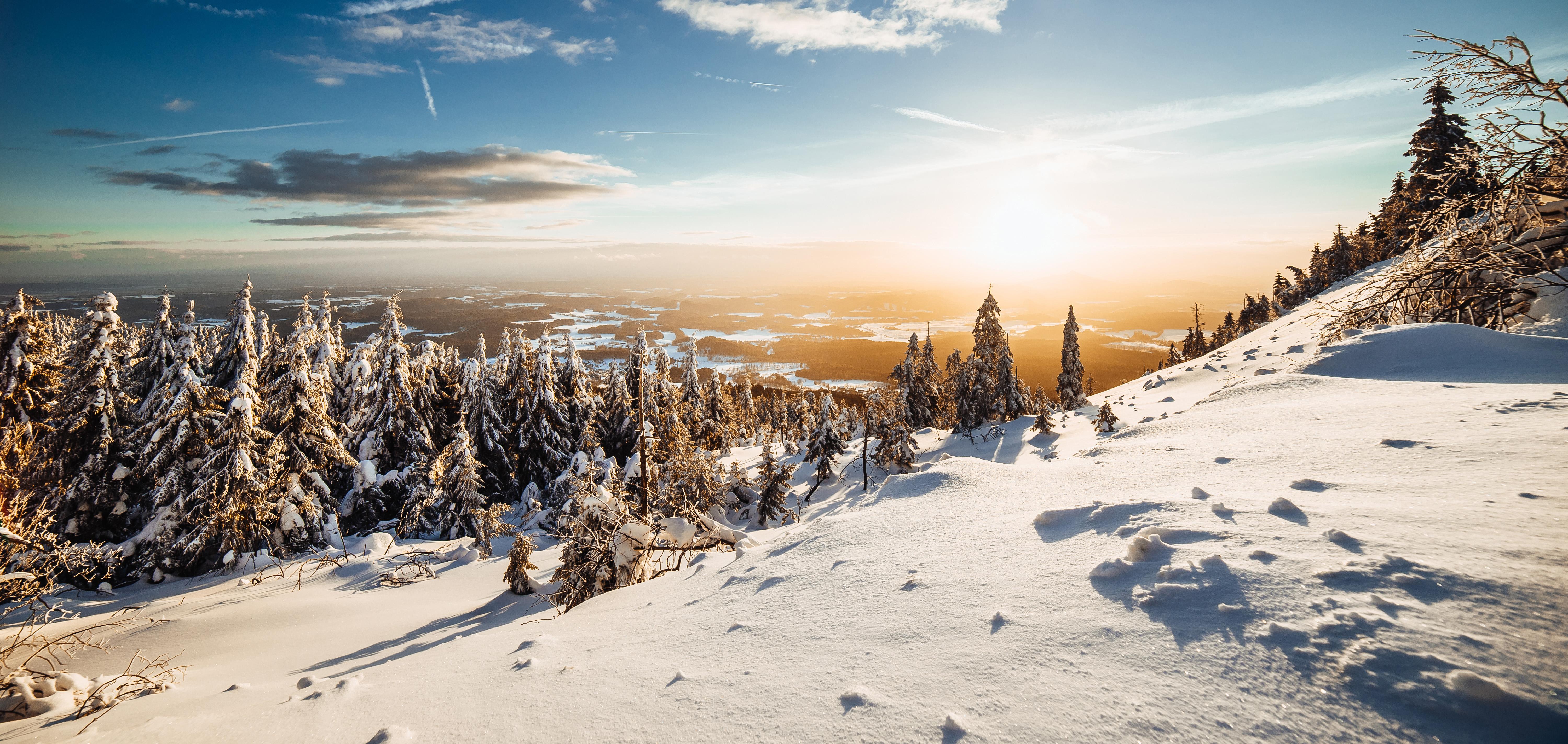 6000x2848 Winter Wallpaper 4K, Landscape, Pine trees, Frosted trees, Sunny day, Nature