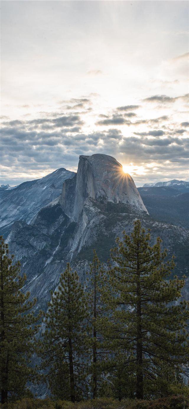640x1385 When the night is over iPhone X wallpaper #tree #forest #cloudy #mountain #pine #yosemitev. iPhone wallpaper mountains, Tree wallpaper iphone, Forest photography
