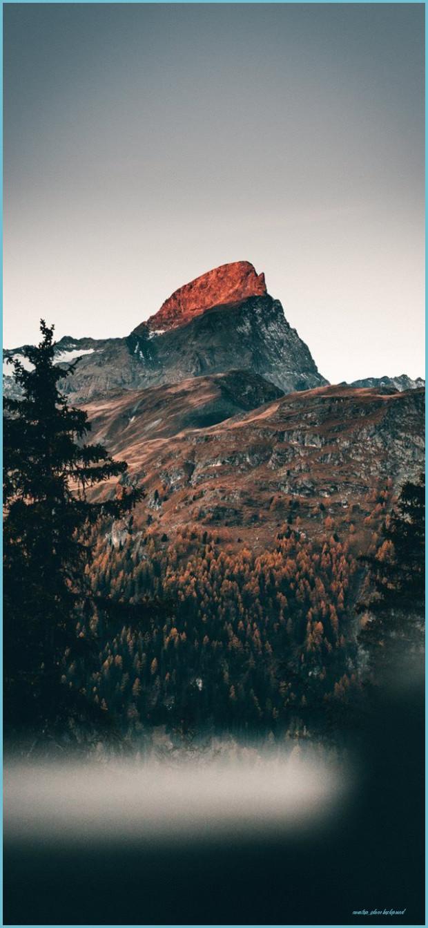 620x1343 Cold Mornings In The Mountains IPhone X Wallpaper #tree #forest iPhone Background