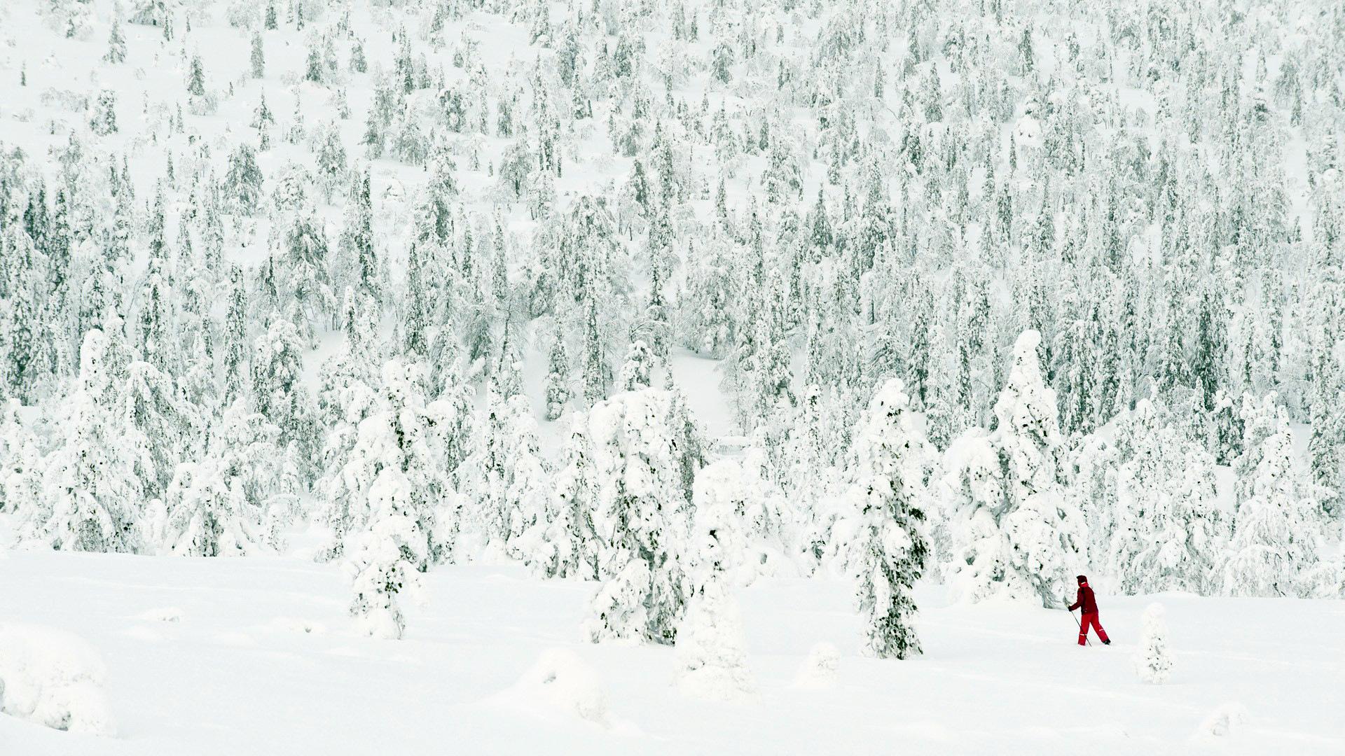 1920x1080 Download Wallpaper tree snow winter poland skier, 1920x Polish winter